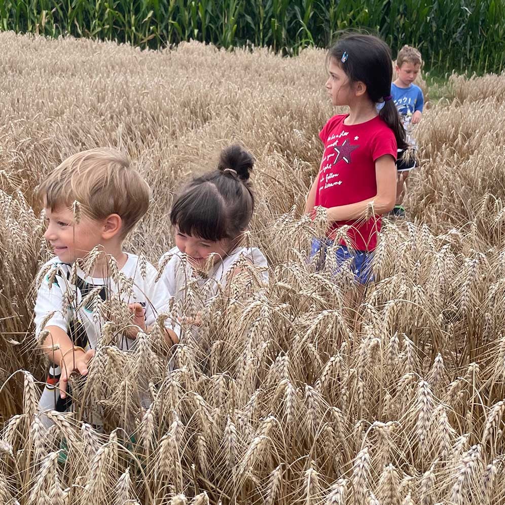 Azienda agricola la Crocetta